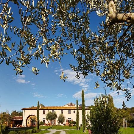 B&B Ai Condotti Di Pisa Da Filippo San Giuliano Terme Eksteriør bilde